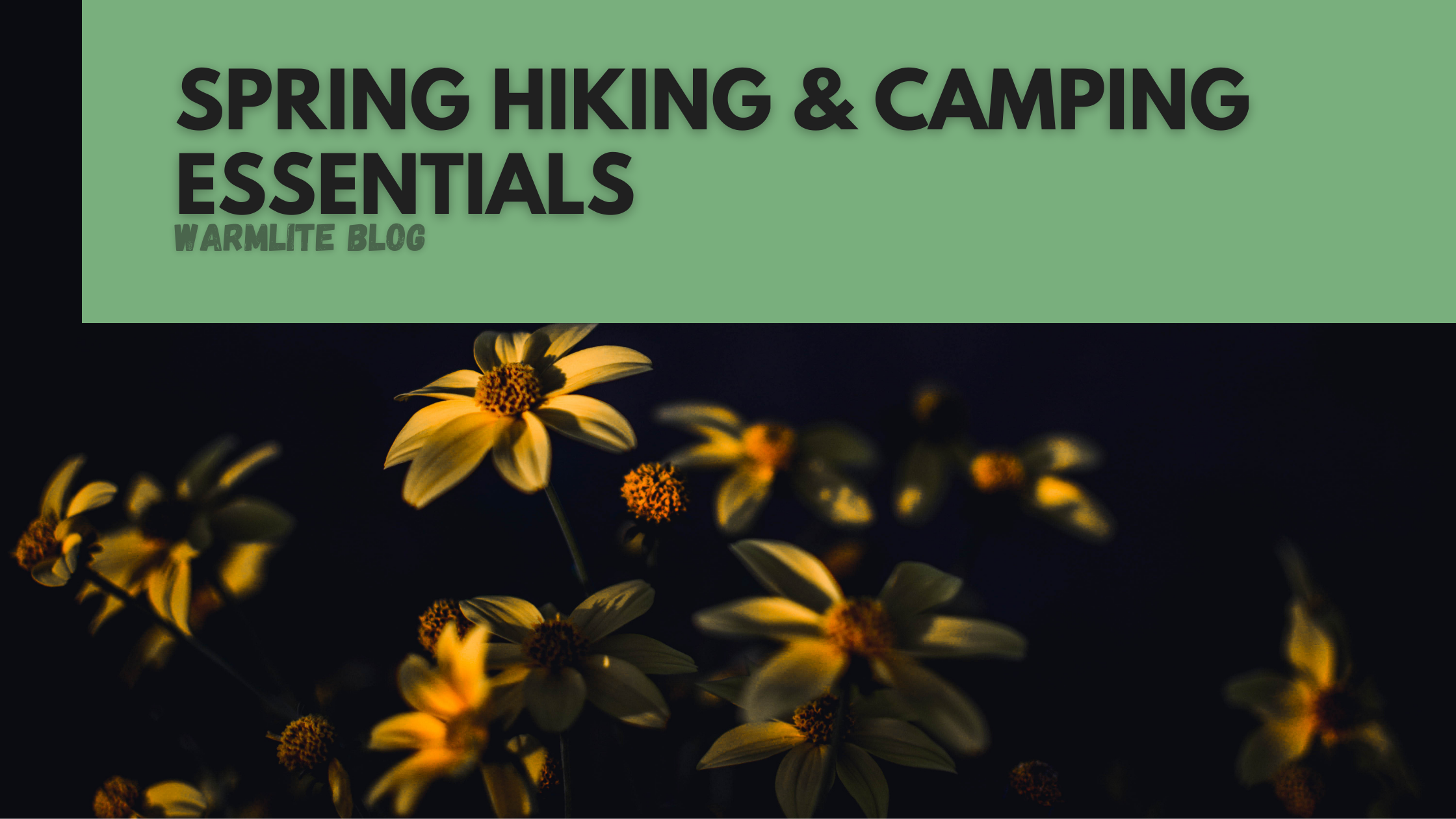 Spring Hiking & Camping Essentials