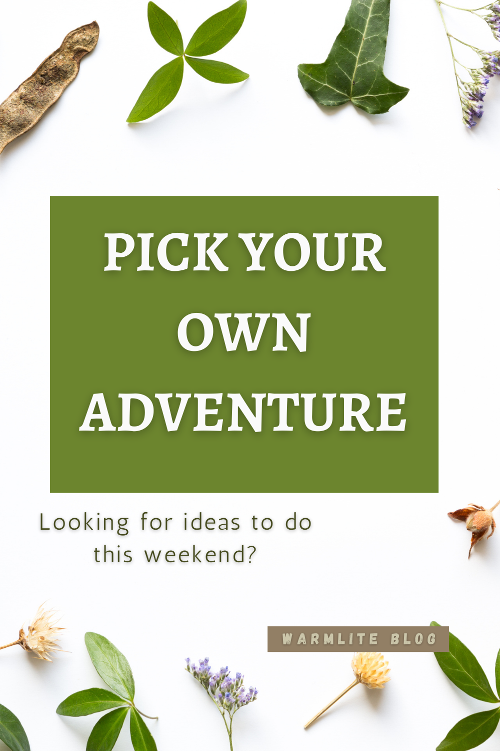 pick your own adventure weekend pin